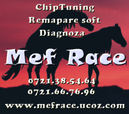 ChipTuning, Remapare soft, Diagnoza